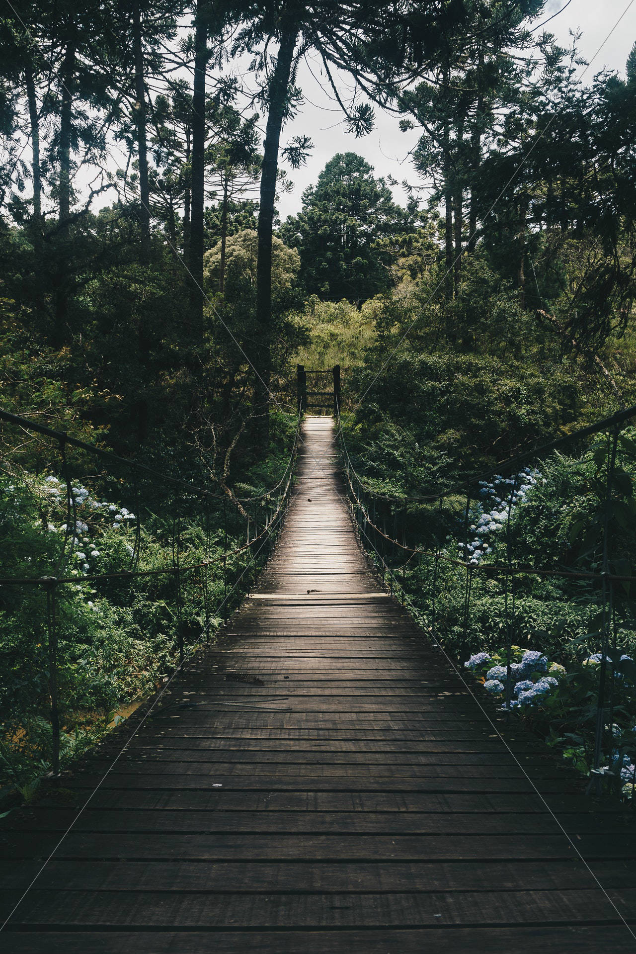Bridge daylight environment